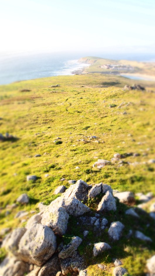 Using the diorama setting on my camera, under the "arts" features.