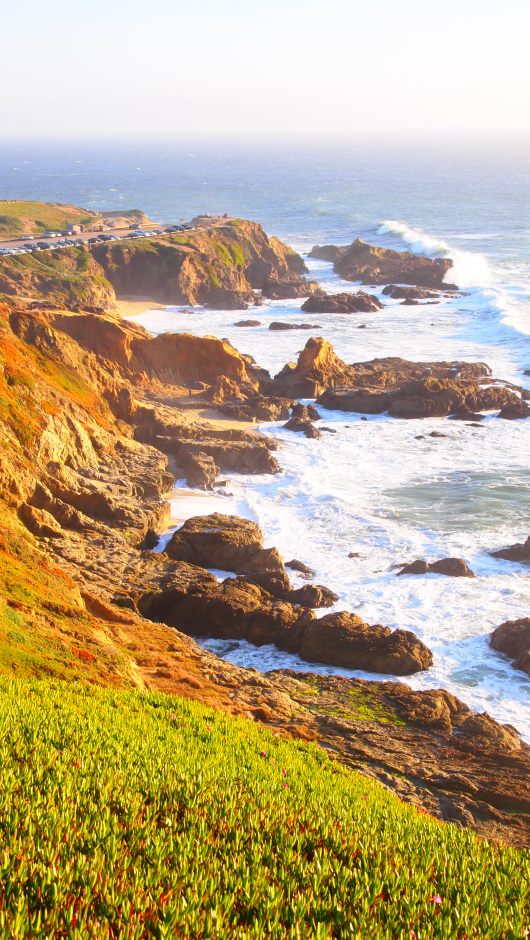 Looking south along the coast, toward the Bodega Head parking lot and whale watching area.
