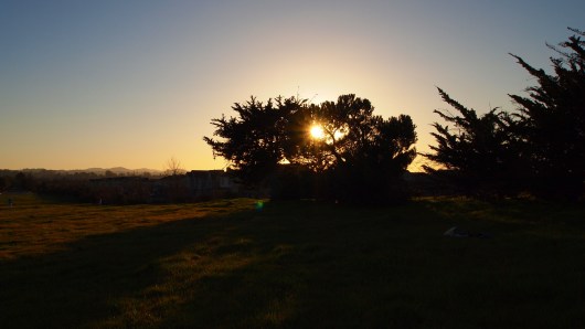 We had our picnic here, looking west towards our neighborhood. If you look closely, you can see the houses back behind the tree. This is right at the edge of town.