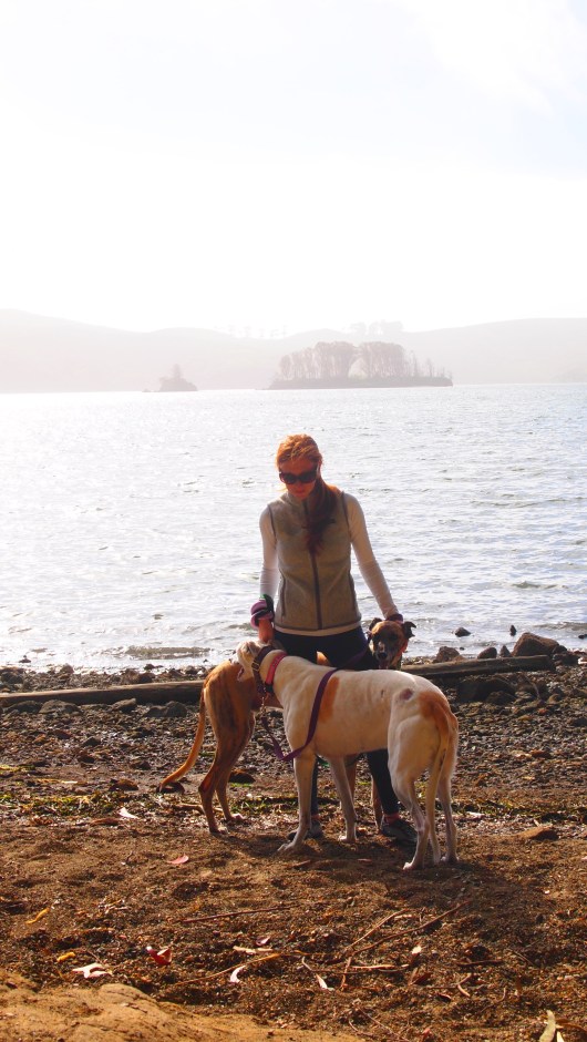Meg with Lily & Cousteau