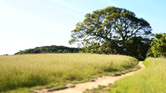 Helen Putnam Regional Park