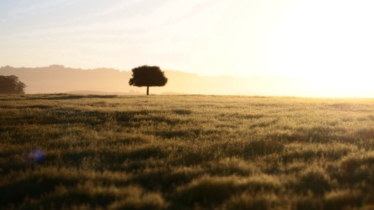 Sunrise on the east side