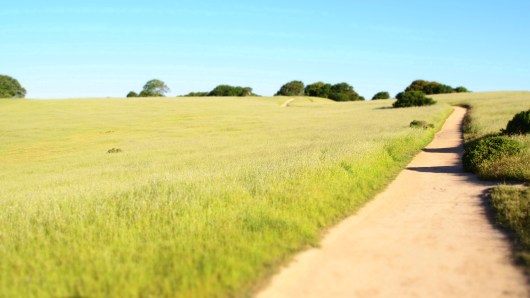 Trails at Helen Putnam Regional Park