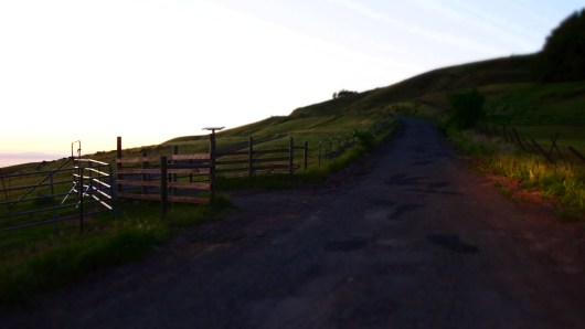 Sonoma Mountain Road at sunset.